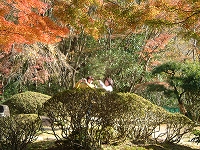 �g�t�U�􁕍g�t�B�e�̗l�q�i�ډ����j