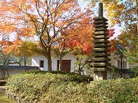 ������j������